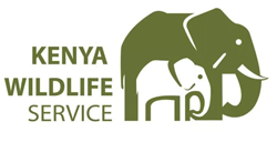 Kenya Wildlife Service (KWS)